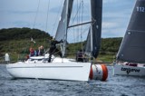 adelante gbr1007l marks whyw24 sun 750 7328